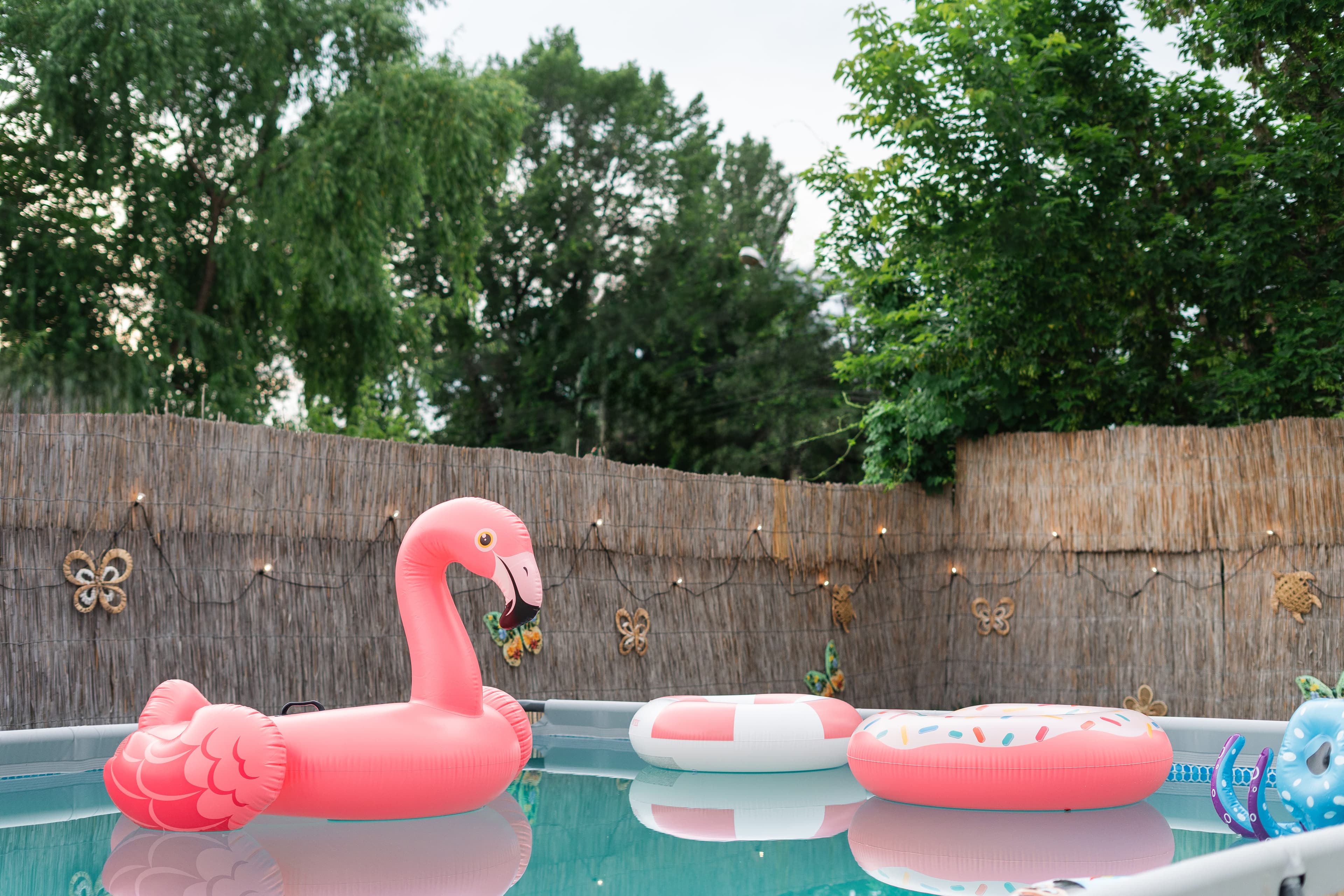 AriDanya Garden – locație evenimente în București