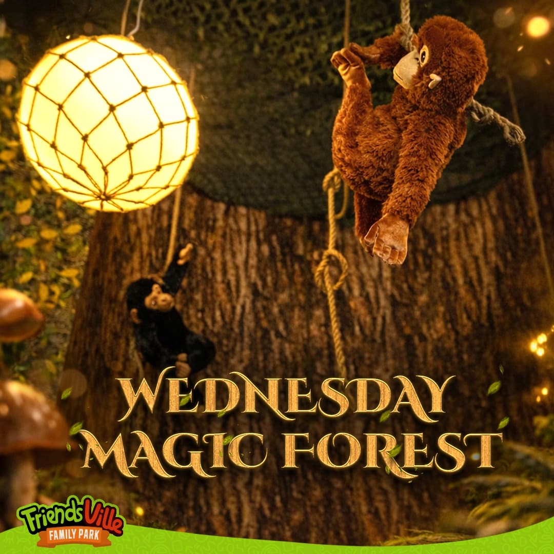 FriendsVille - Wednesday Magic Forest, detalii de decor — locație de evenimente în București