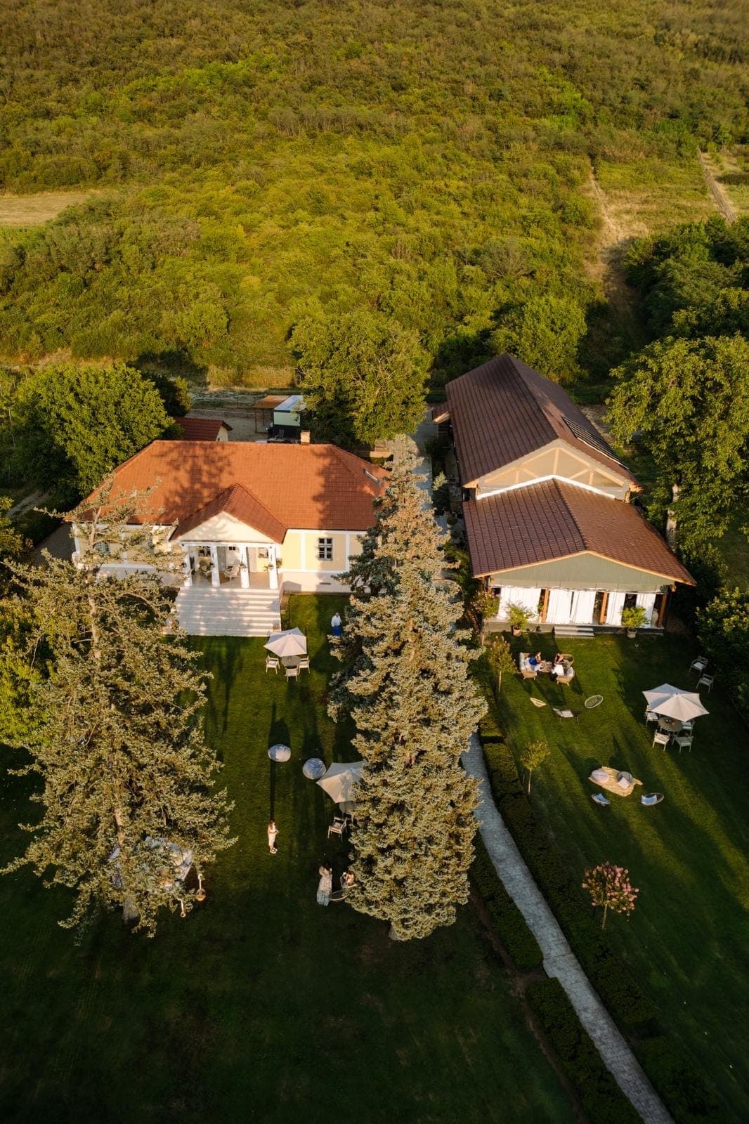 CRAMA VILLA VECHE, vedere aeriană — locație de evenimente în Șiria